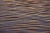 Small ripples on sunset-lit water near Ringwood Hampshire
