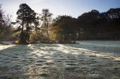 Frosty grassland Lucy Hill New Forest National Park Hampshire England UK