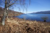 Loch Rannoch and birch trees Perth and Kinross Scotland March 2017
