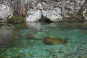 Restonica river Parc Naturel Regional de Corse Corsica France