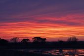 Sunset over marsh and reedbed beside the road to Gimeaux Regional Nature Park of the Camargue France February 2016