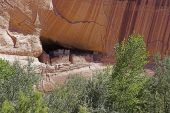 White House Ruins on the cliffs of Canyon de Chelly National Monument Arizona USA