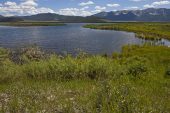 Wigeon Pond Red Rock Lakes National Wildlife Refuge Centennial Valley Idaho USA June 2015
