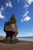 Mother-in-law rock Hopewell Rocks Bay of Fundy New Brunswick Canada August 2016