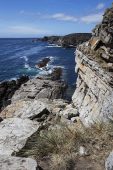 Coastal cliffs Cape Tamar Pebble Island Falkland Islands British Overseas Territory December 2016