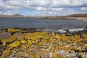 Bernsten Bay and Green Rincon headland Pebble Island Falkland Islands British Overseas Territory December 2016