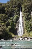 Waterfall by nature trail in ancient forest Haast Pass South Island New Zealand
