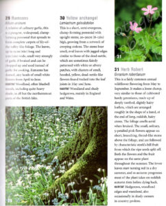 Herb Robert and Ramsons, page 119