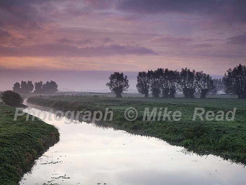 Pollarded willows and the Sowy River at sunrise, near Greylake, Somerset Levels, England, UK, October 2018