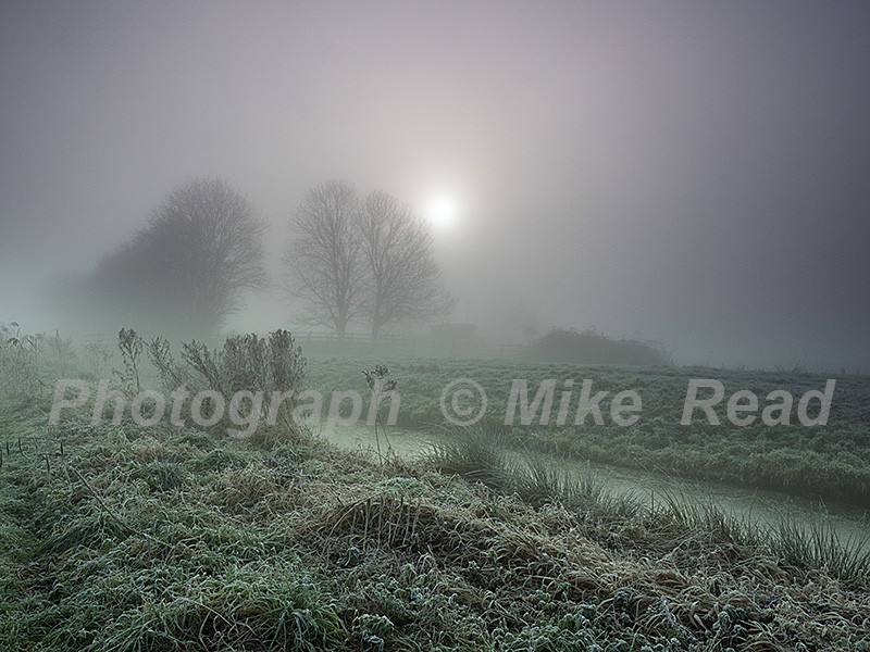 Rhyne and footpath in early morning mist, Greylake RSPB Reserve, Somerset Levels and Moors, Somerset, England, UK, 2019