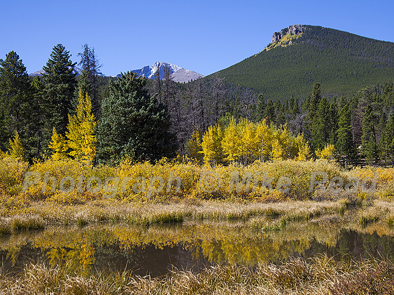 Lily lake with woodland and Long's Peak beyond Rocky Mountain National Park Colorado USA