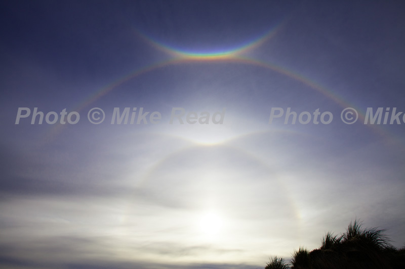 Rainbow-like arcs in the sky which are Circumzenithal arcs and sun dogs at sunset , Sea Lion Island, Falkland Islands, UK